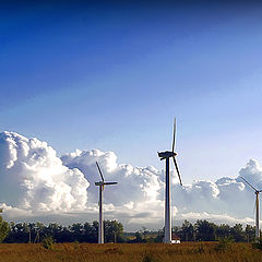 фото "Windmills"