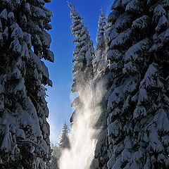 photo "Winter im Harz"