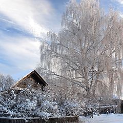 фото "Морозное утро в деревне."