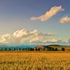 photo "The surrounding countryside"