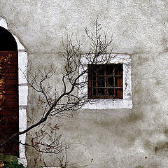 photo "The door upon nowhere"
