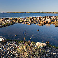 photo "Coast of island Solovetskiy"