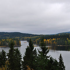 photo "Haminalahti"