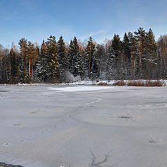 фото "Первый лед"