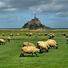 photo "Together with sheep to the abbey"