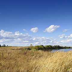 фото "Краски жаркого лета"