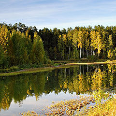 фото "осень"