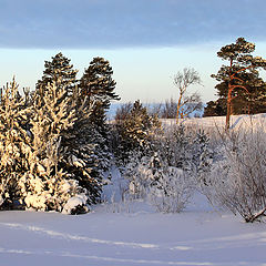 фото "Зимний денек"