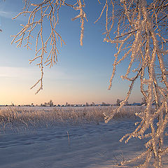 фото "Первые лучи"