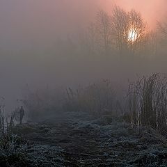 photo "Us morning meets the cool..."