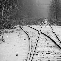 фото "Первый снег."