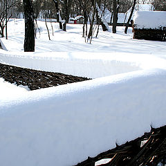 фото "Snowy fence / Снежный забор"