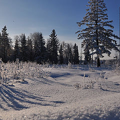 фото "Зимнее солнце"