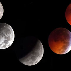 фото "Lunar Eclipse December 21, 2010"