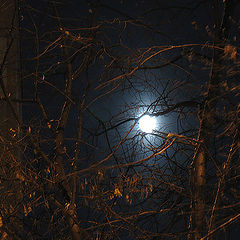 photo "Moon"