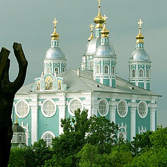 фото "Застывший в молитве"