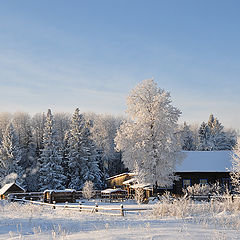 фото "У  леса"