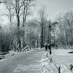 фото "Krakov 3233"