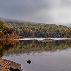 фото "Безмолвие..."