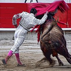 photo "torero"