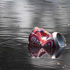 фото "КОЛАблик"