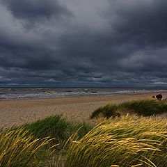 фото "Нахмурилось синее море"