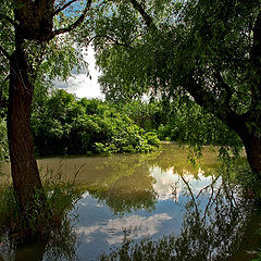 фото "Река Курва"