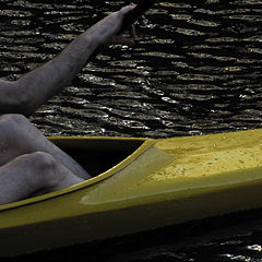 photo "morning oarsman"