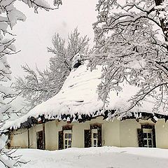 фото "Зимно"