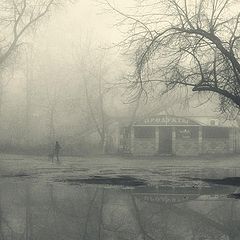 фото "Жизнь в тумане"