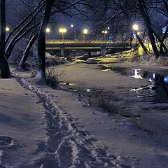 photo "Night along the river, December"