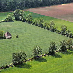 photo "Geometry of rural fields"