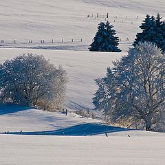 photo "Harz"