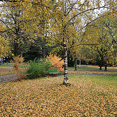 photo "Autumn triangle"