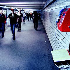 фото "Позвони мне, позвони..."