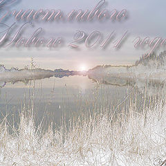 фото "Счастливого Нового 2011 года!"