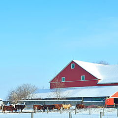 photo "Winter country life"