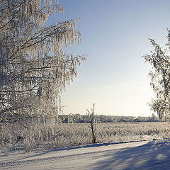 фото "Утро"