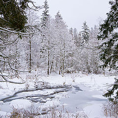 photo "Sacred Lake's Guards"