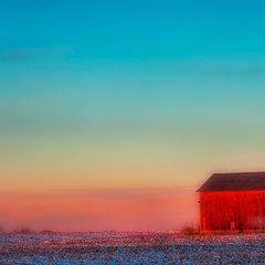 фото "Red Shed"