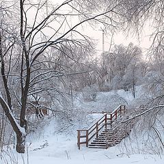 photo "Winter's Tale"