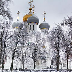 фото "Новодевичий моностырь"