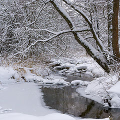 photo "Isloch River Headwaters"