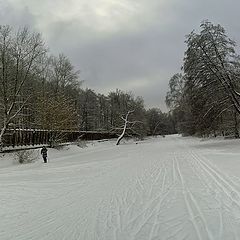 фото "на прогулке"