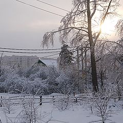 фото "Зимнее солнце."