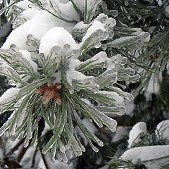 фото "Новогодний наряд"