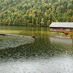 photo "Дождь на озере Bad Aussee"