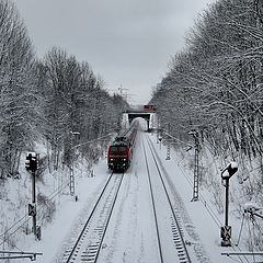 photo "White, black and red"