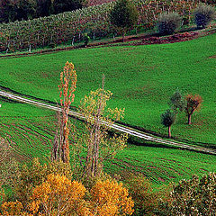 photo "paesaggio"