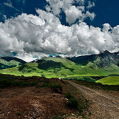 photo "Against the wind"